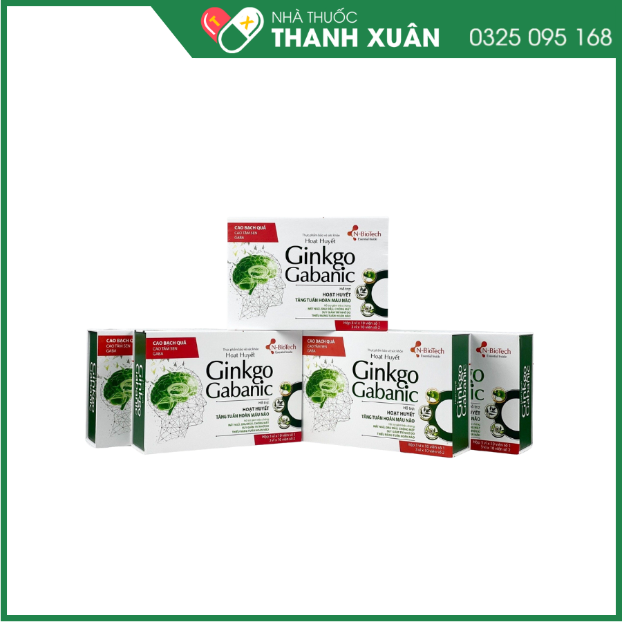 Hoạt huyết Ginkgo Gabanic hỗ trợ hoạt huyết, tăng tuần hoàn máu não